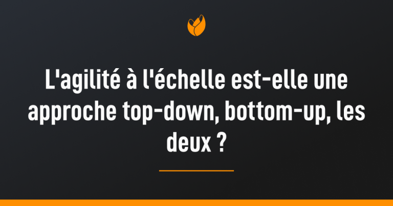 agilité-echelle-approches