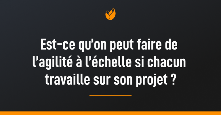 agilité-échelle-si-chacun-travaille-sur-son-projet